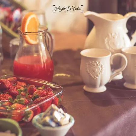 Bed & Breakfast Vipuntotre